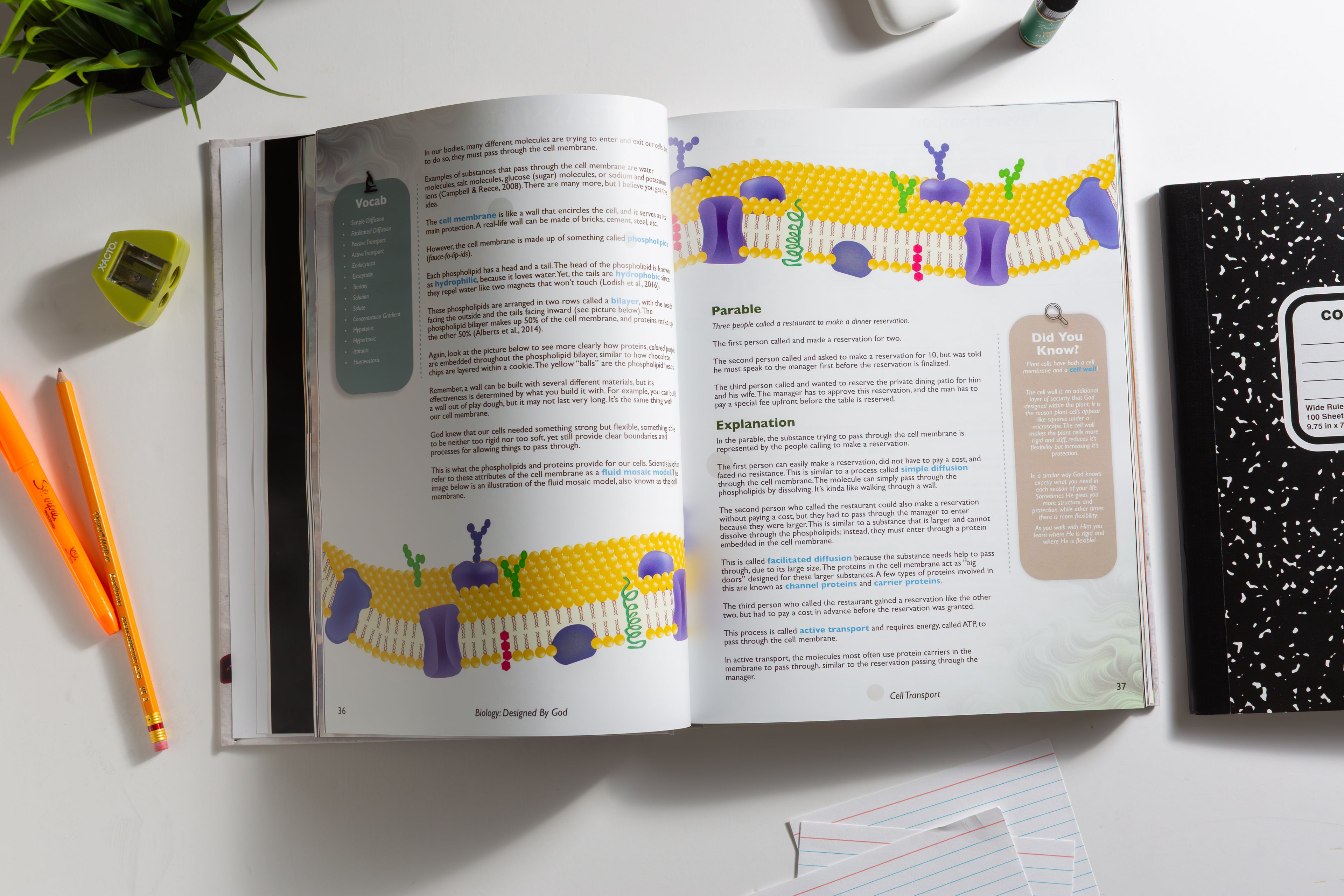 Biology: Designed By God - Hardcover Edition