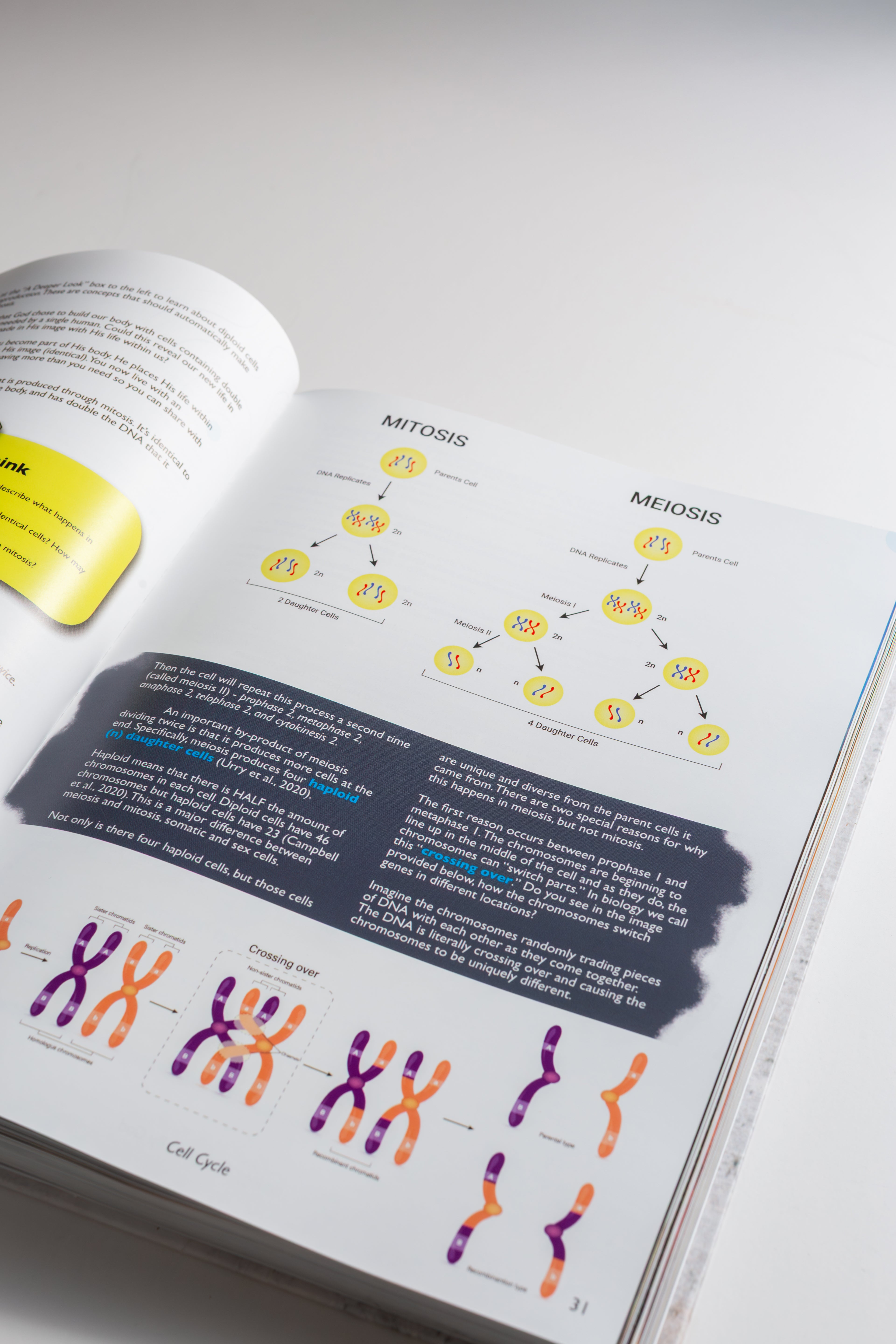 Biology: Designed By God - Hardcover Edition