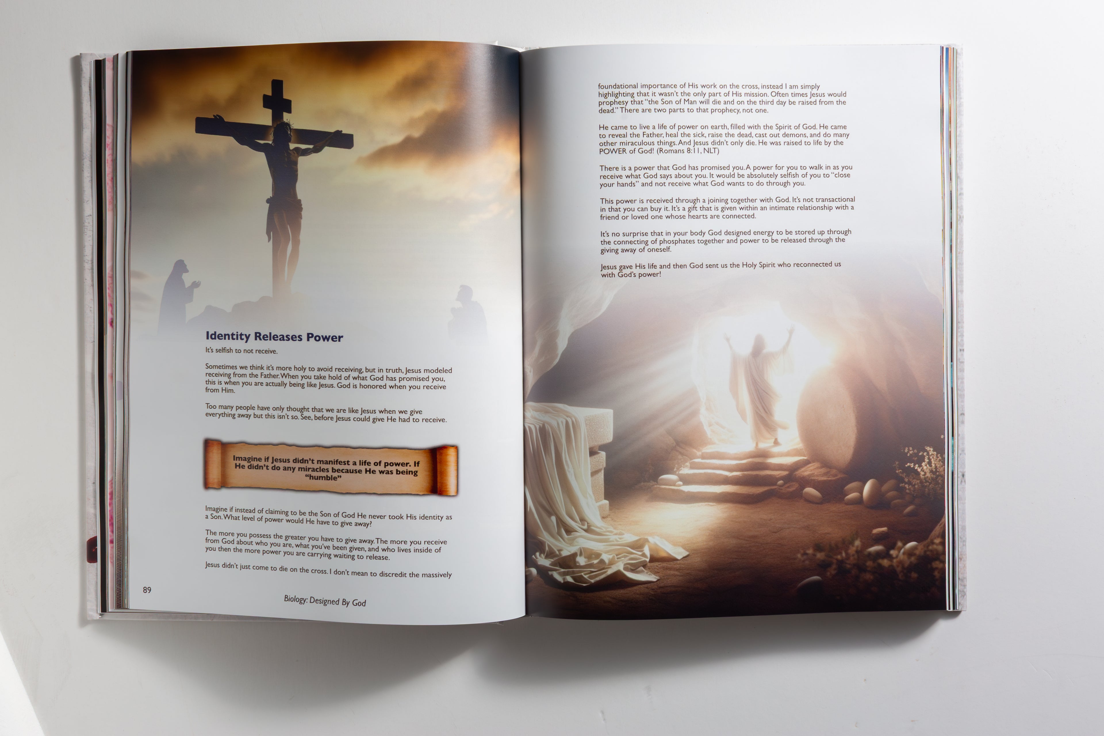 Biology: Designed By God - Hardcover Edition