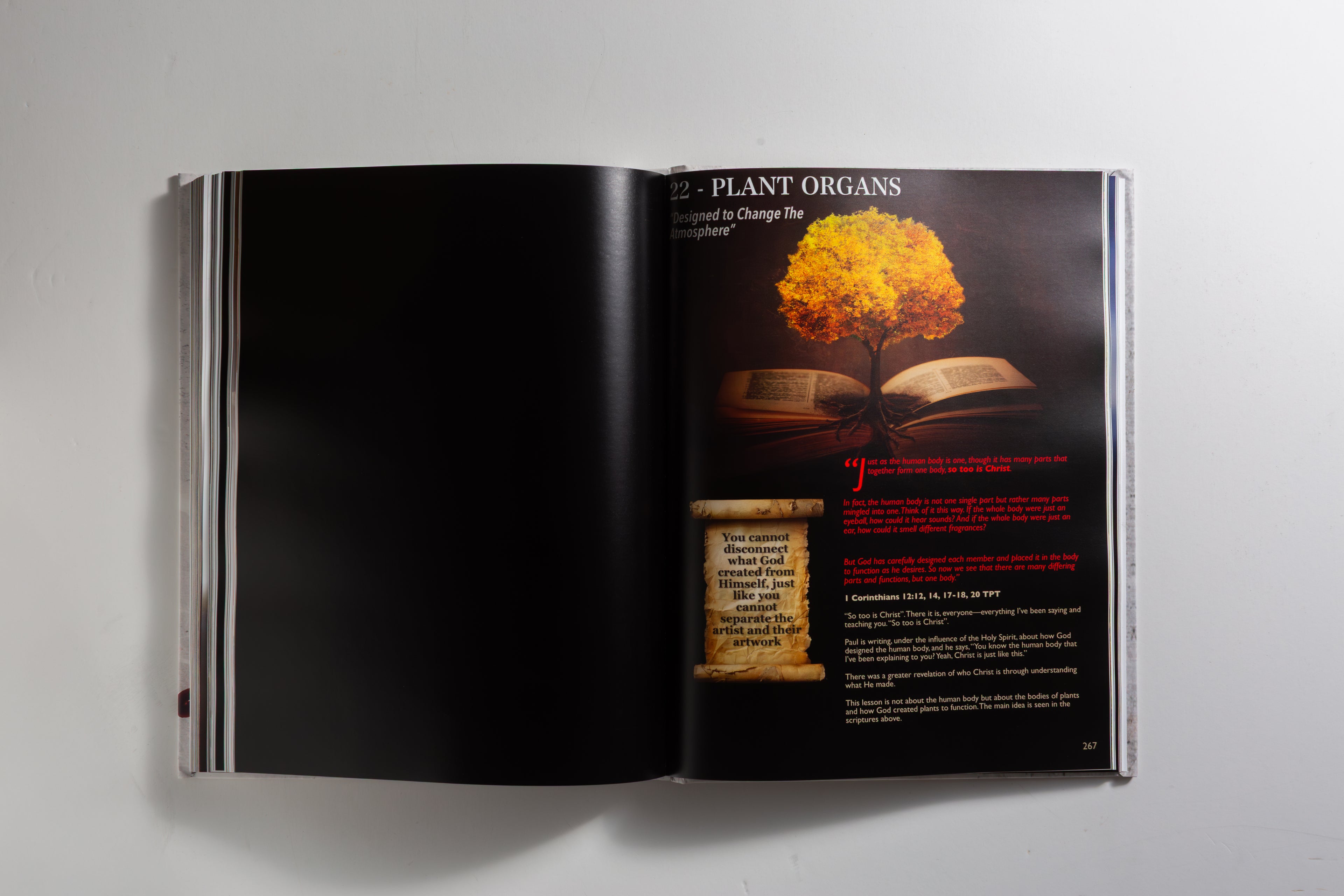 Biology: Designed By God - Hardcover Edition