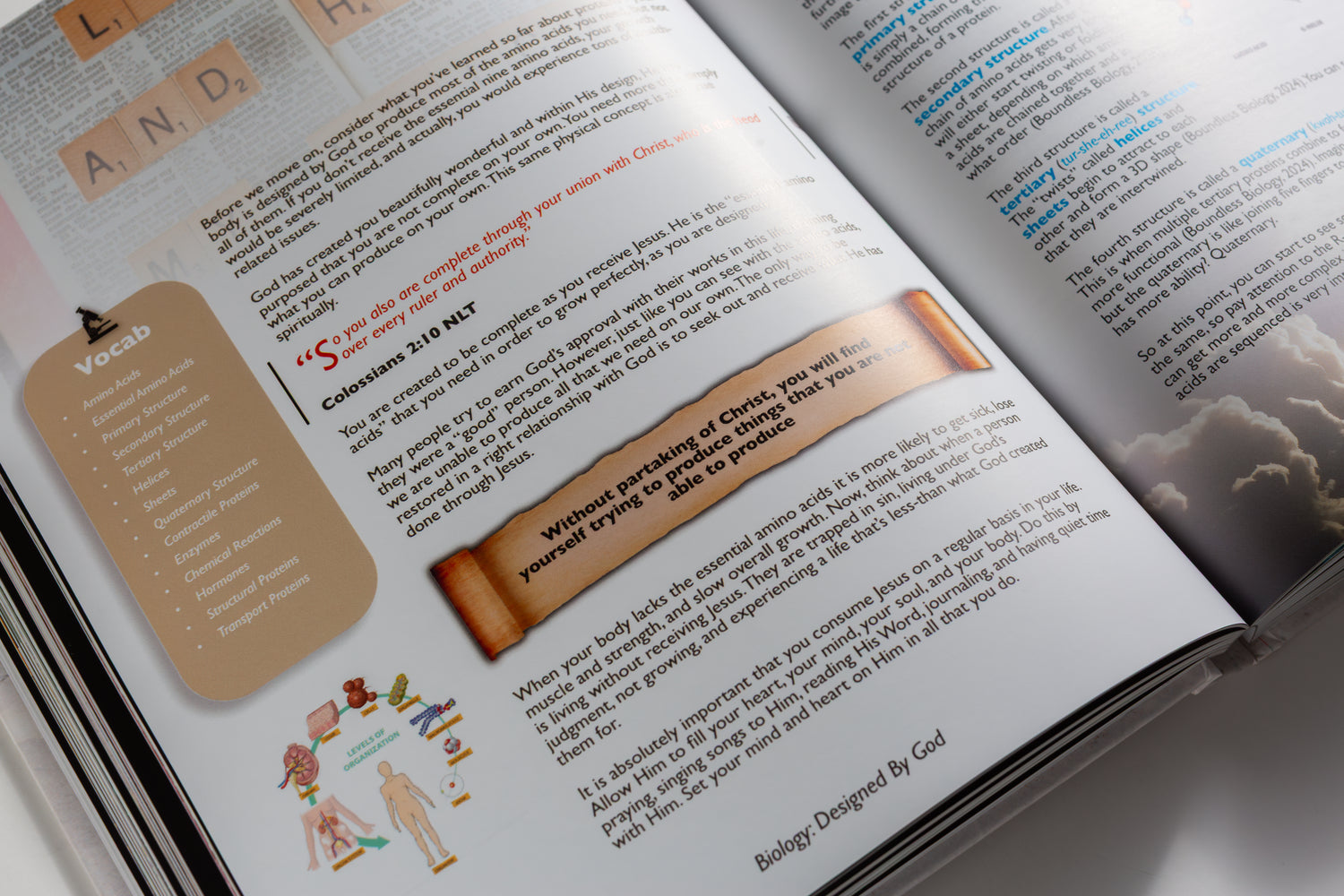 Biology: Designed By God - Hardcover Edition